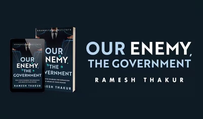 Book cover - Our Enemy The Government