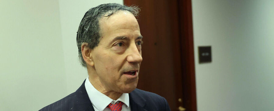 jamie raskin trump removed congress