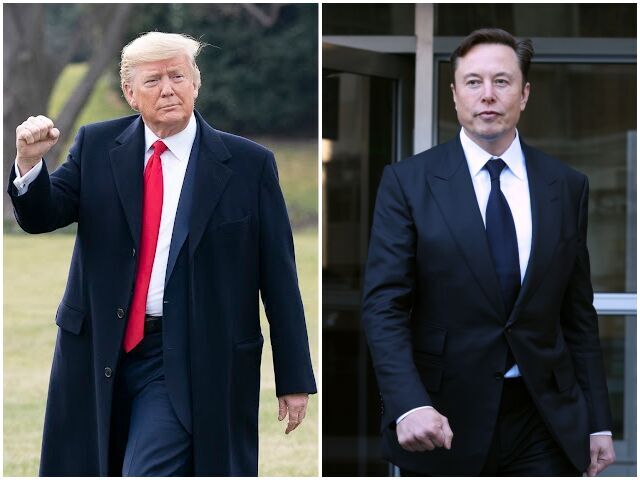 Elon musk Donald Trump