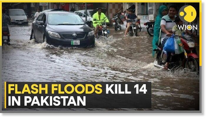 nnnnnn