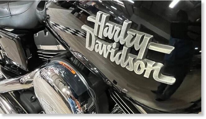 Click to enlarge harley davidson