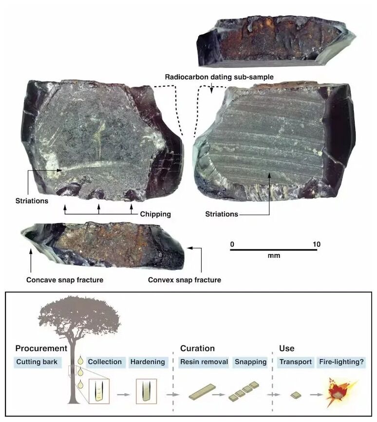 Click to enlarge Tree Resin Artefact