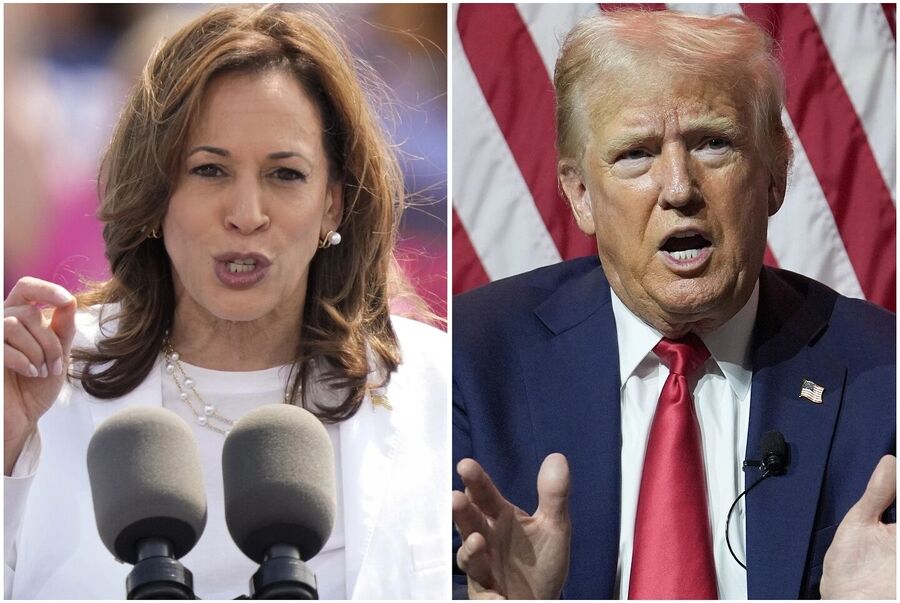 harris trump election 2024