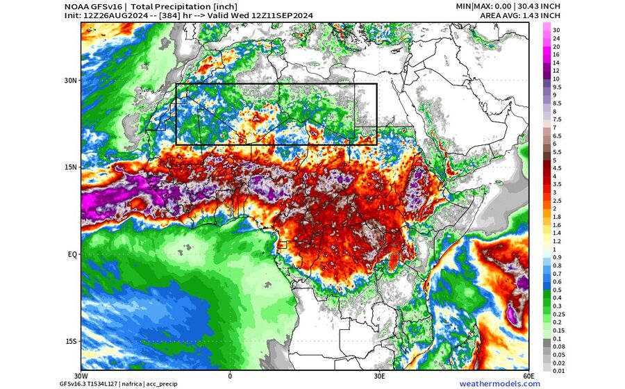 The latest GFS model forecast for total rainfall in the next 16 days. August 2024