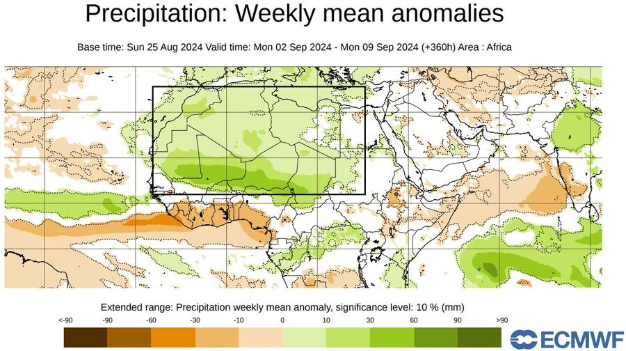 The ECMWF extended precipitation anomaly for early September