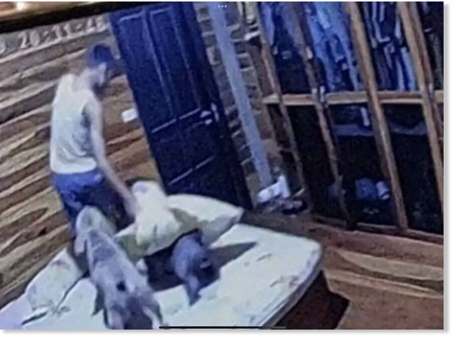 Click to enlarge Picture captured from CCTV.