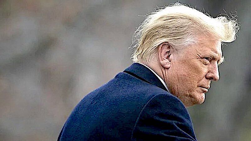 Click to enlarge Donny