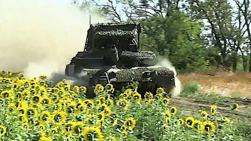 sunflowers