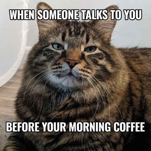 Click to enlarge coffee 2