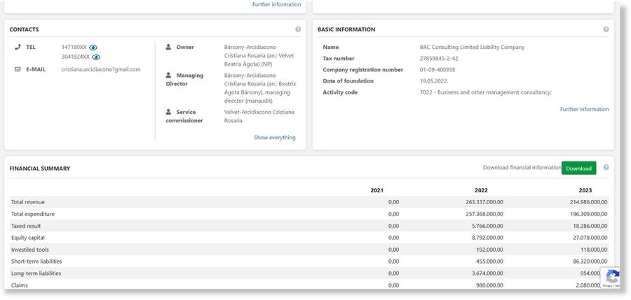 BAC consulting taxes