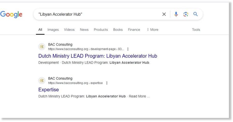 BAC consulting