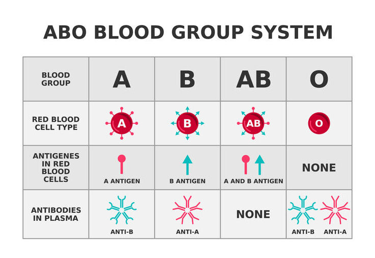 Click to enlarge Blood Group