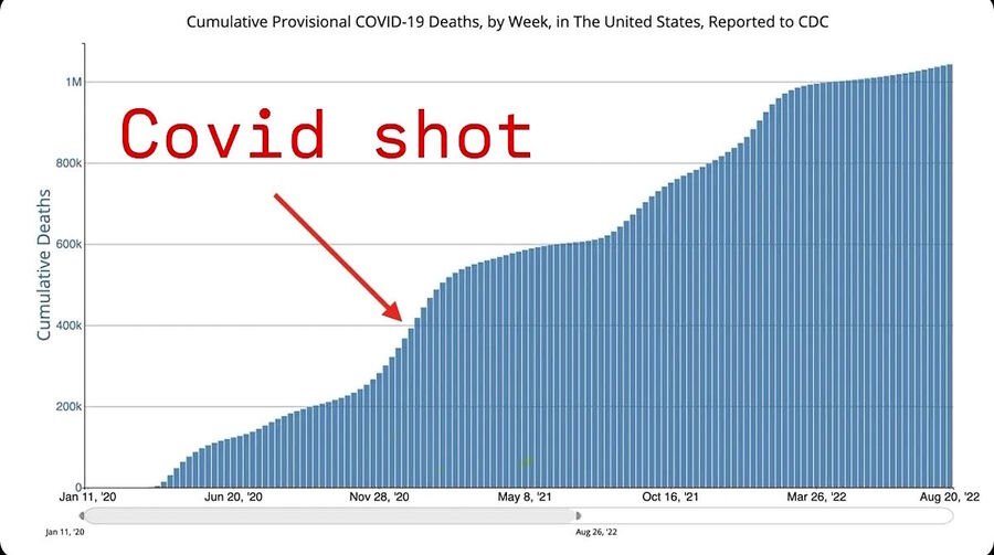 death corrolated increase vaccine rats