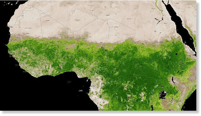 Green vegetation creeping northward in
