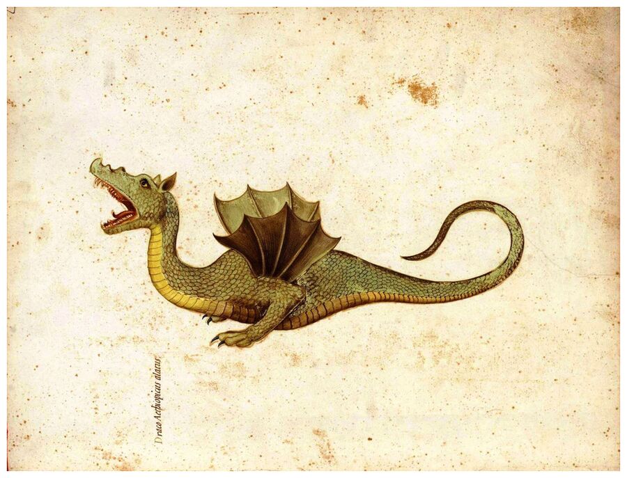 Medieval Dragon