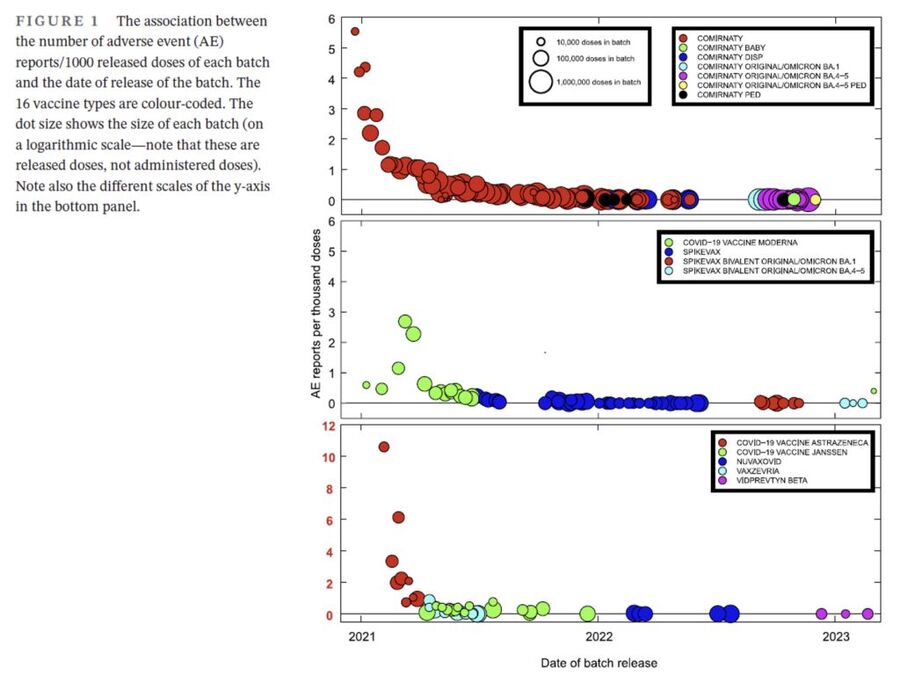 The relationship between the size and type of the batch, the date of its release, and the number of reported AEs associated with this batch