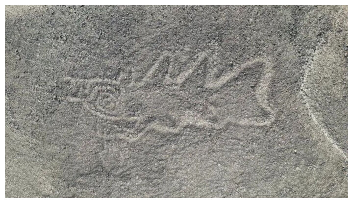 Killer whale Glyphs