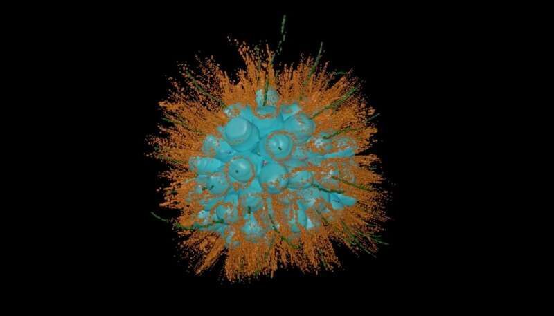 Click to enlarge 3-d model choanoflagellates mono lake