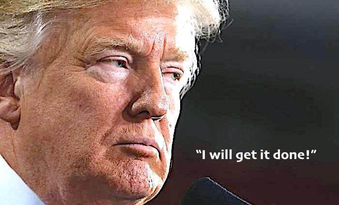 Click to enlarge Trump