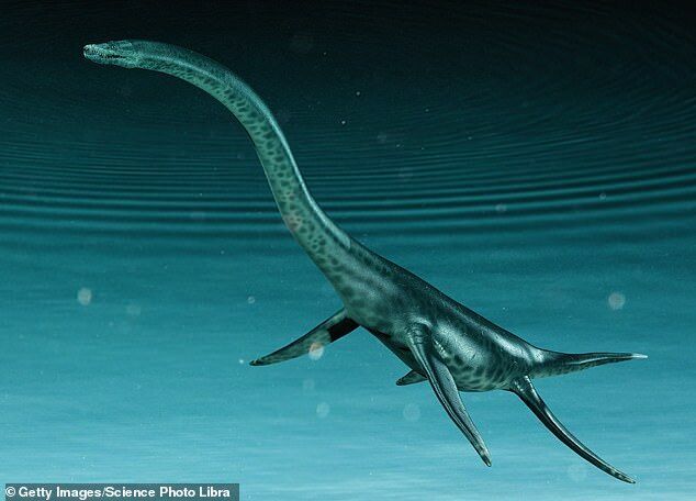 Click to enlarge plesiosaurs illustration