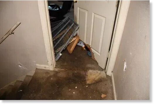 Click to enlarge Pictures from Bexar County Sheriff's Office show where the dogs damaged the door.