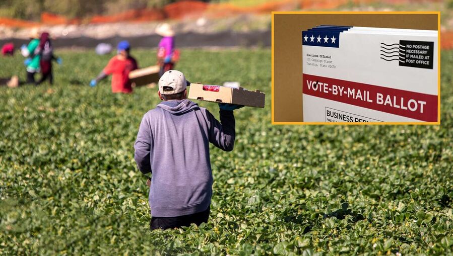 migrant workers satire