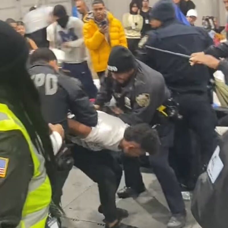 shelter fight