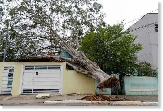 bbbbbbbbb