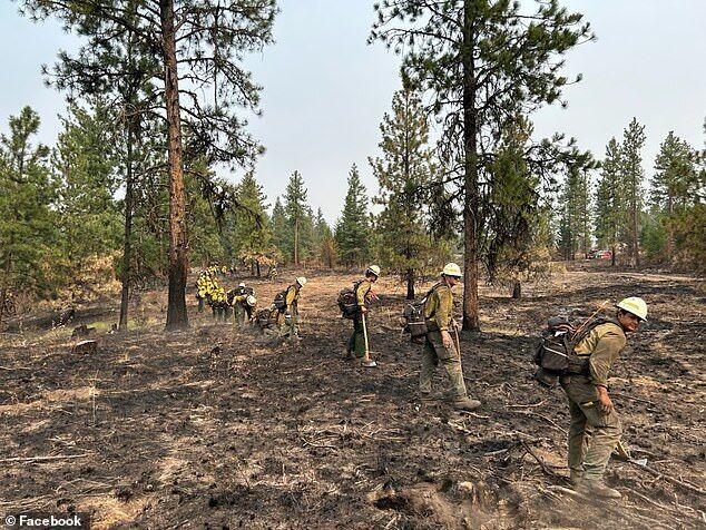 Click to enlarge Oregon's forestry department