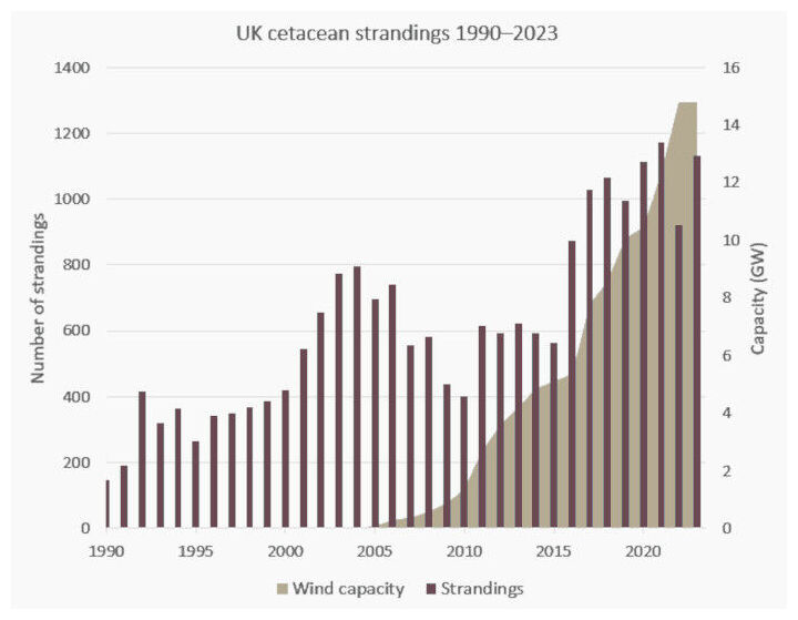 Cetacean Strandings in the UK