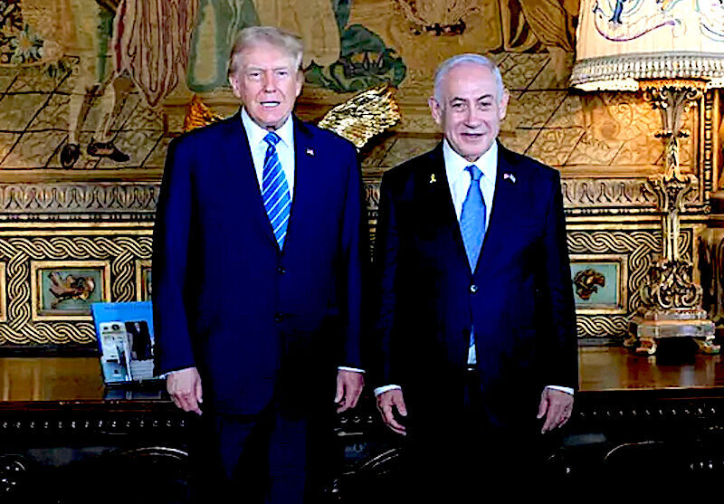 DT and BN