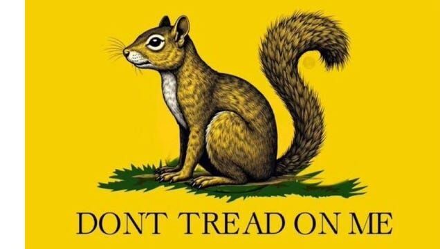 peanut squirrel don't tread on me flag