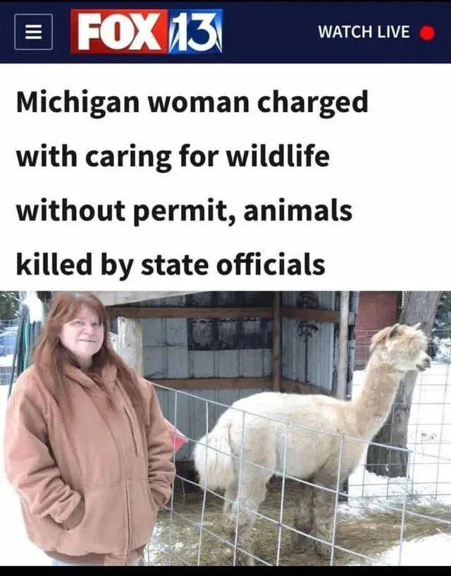 peanut squirrel another pet murdered