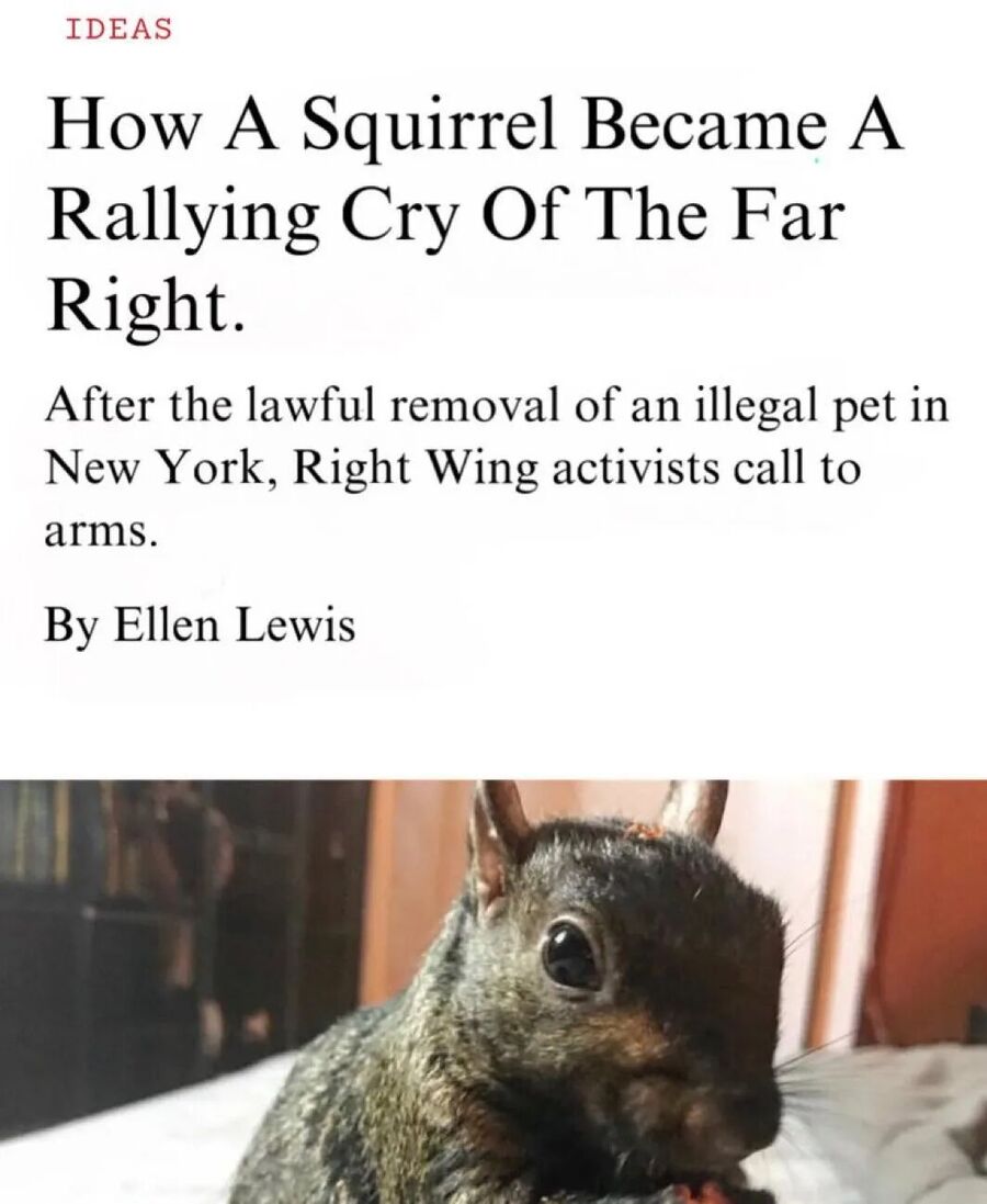 altantic article fake peanut squirrel