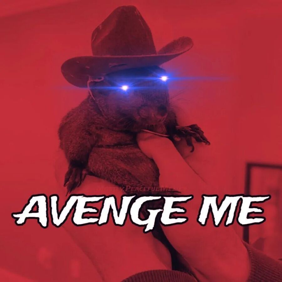 peanut squirrel meme revenge