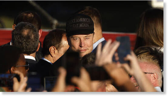 Click to enlarge musk dark maga