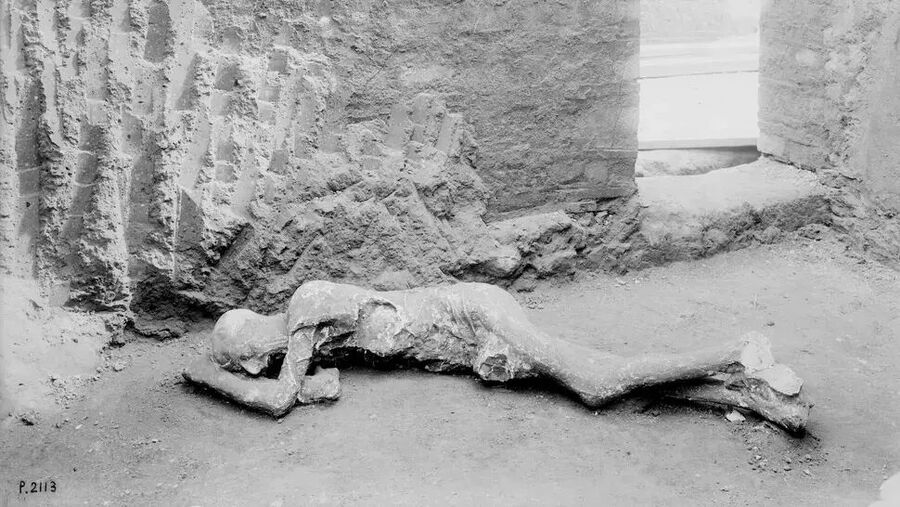 Click to enlarge The study claims that many of the residents of Pompeii had migrated there from the eastern Mediterranean.