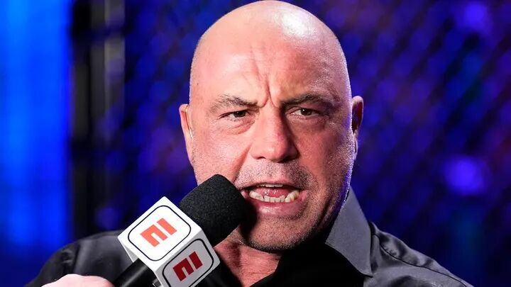 Click to enlarge Joe Rogan UFC