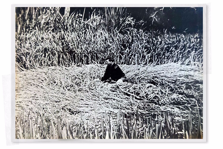 Click to enlarge tully circles saucer nest australia ufo crop circles