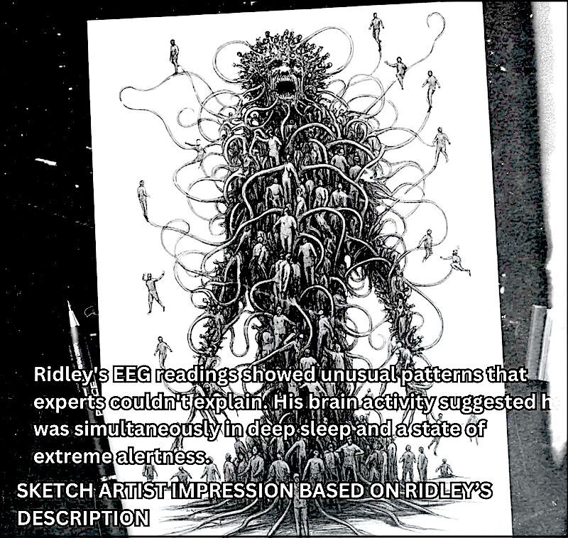 Click to enlarge collective