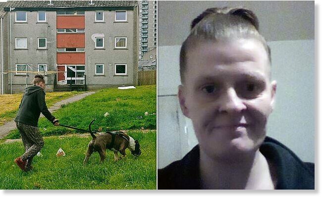 Click to enlarge Locals said the fatal attack came just six months after Bailey was reported to the city's dog warden and the police after it targeted a collie in the street. Pictured: Michelle walking Bailey close to her home a few months before the tragedy