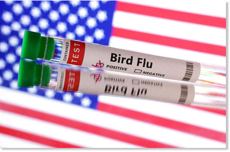 Bird flu vial