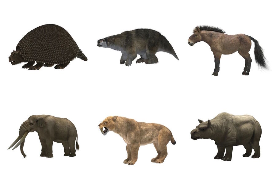Click to enlarge ancient megafauna americas north south