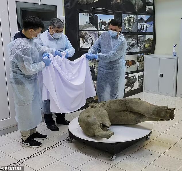 baby mammoth siberia best preserved