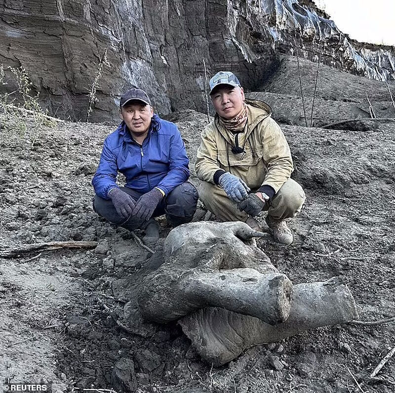 rear ov baby mammoth found siberia best preserved