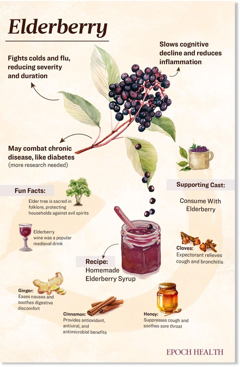elderberry epoch times