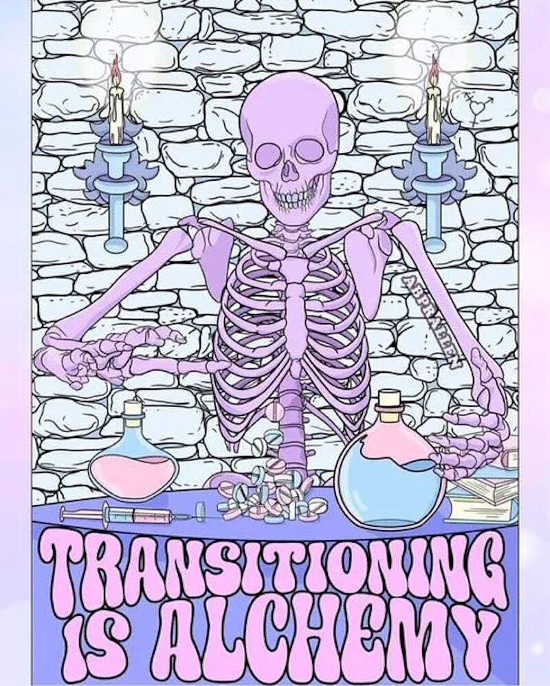 Click to enlarge transgender propaganda poster alchemy skeleton