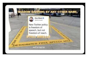 Shadow Banning