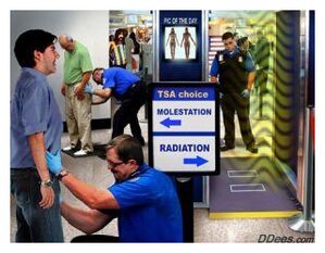 Click to enlarge TSA Thugs