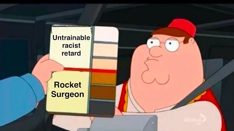 meme racist color card family guy tsa